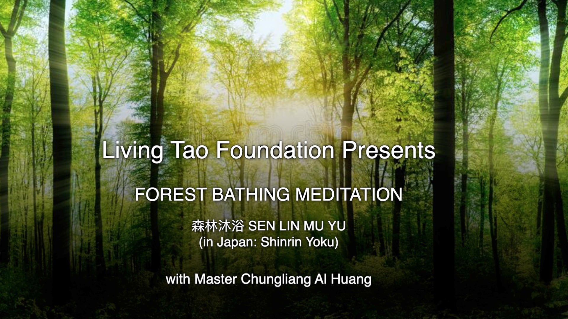 Living Tao Forest Bathing Meditation