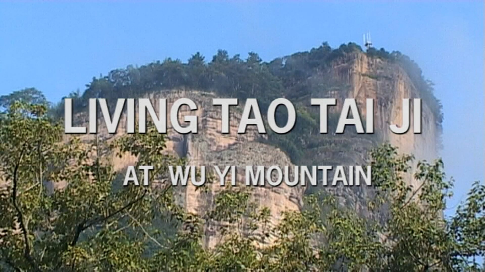 LIVING TAO TAI JI at Wu Yi Mountain