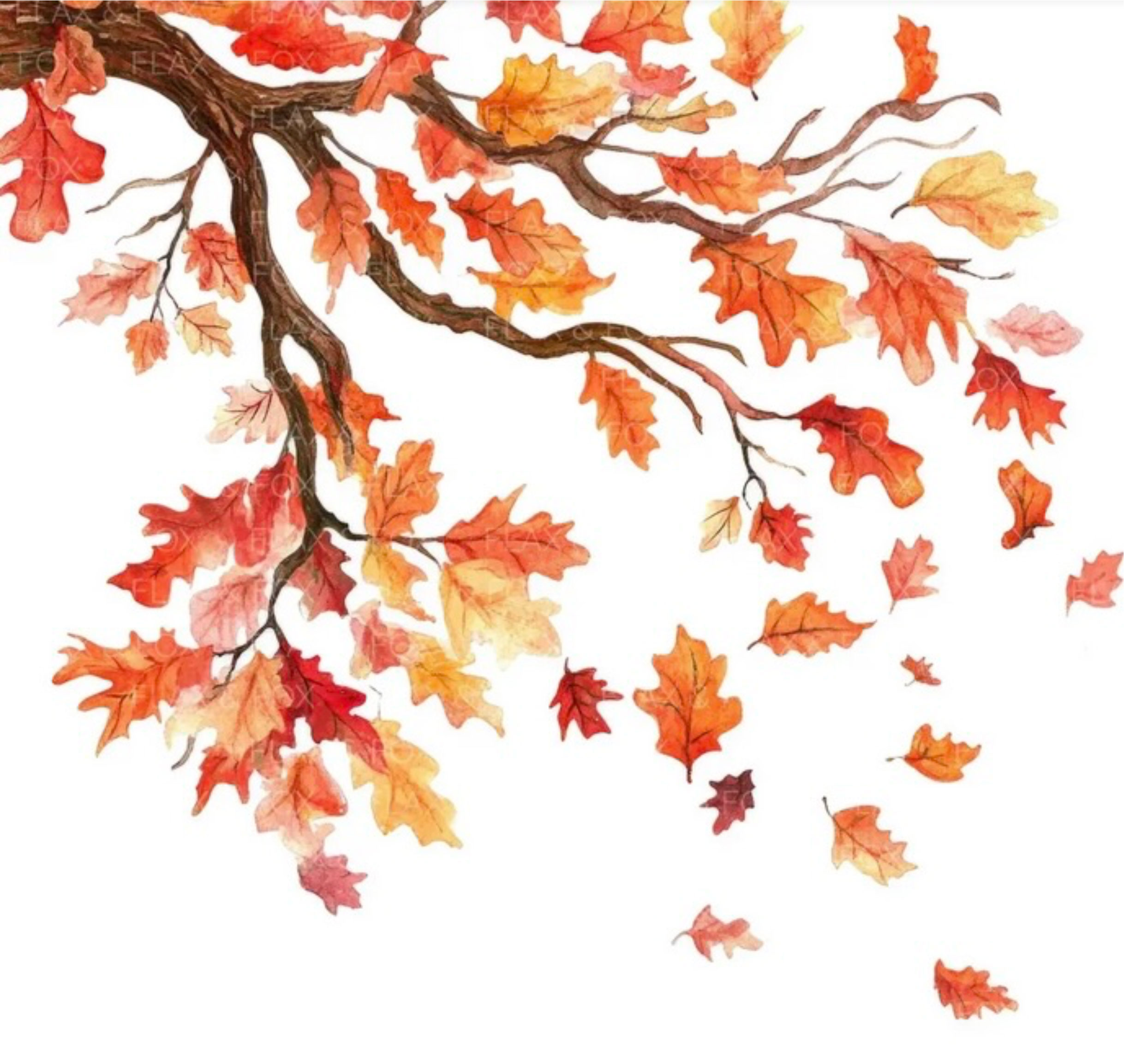 Branch-Leaves